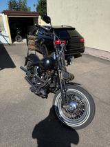Harley-Davidson Softail Evo Springer Umbau Custom