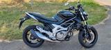 Suzuki Gladius SFV650 - Offers matching your search criteria