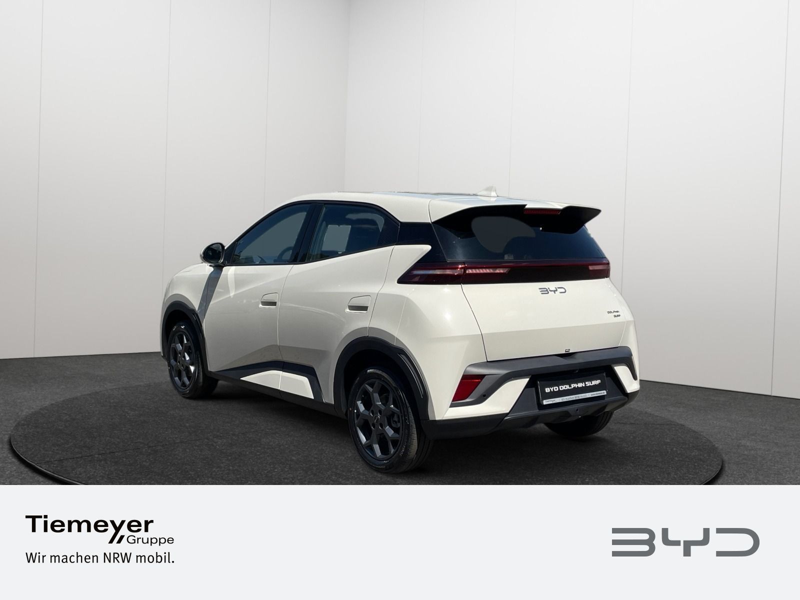 BYD DOLPHIN SURF