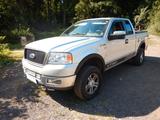 Ford F 150 - gebrauchte Ford F 150 aus dem Jahr 2004