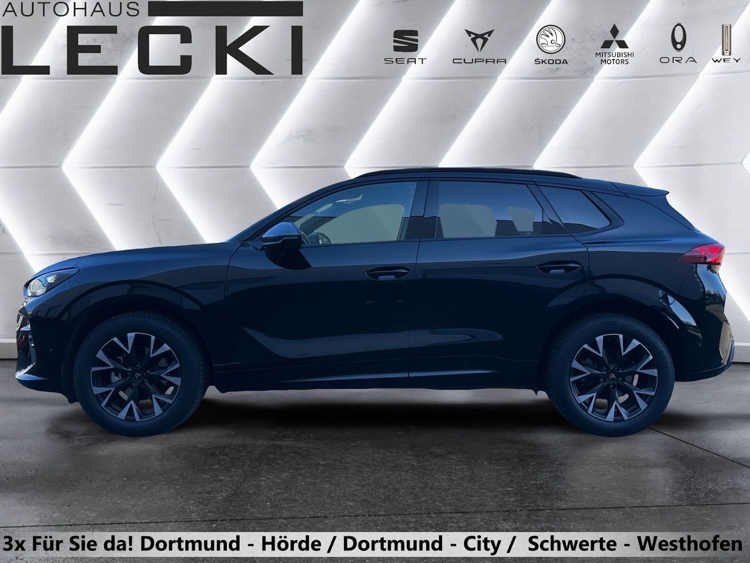 Cupra Terramar - Bild 7