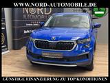 Skoda Kodiaq Active 2.0 TDI DSG LED/AHK/SHZ - Skoda Kodiaq in Oldenburg
