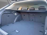 Skoda Superb - Vorschau Bild 6