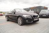 BMW 220 Advantage Cabrio AUTOMATIK Bi-X PDC SHZ Temp - BMW 220 in Wiesbaden