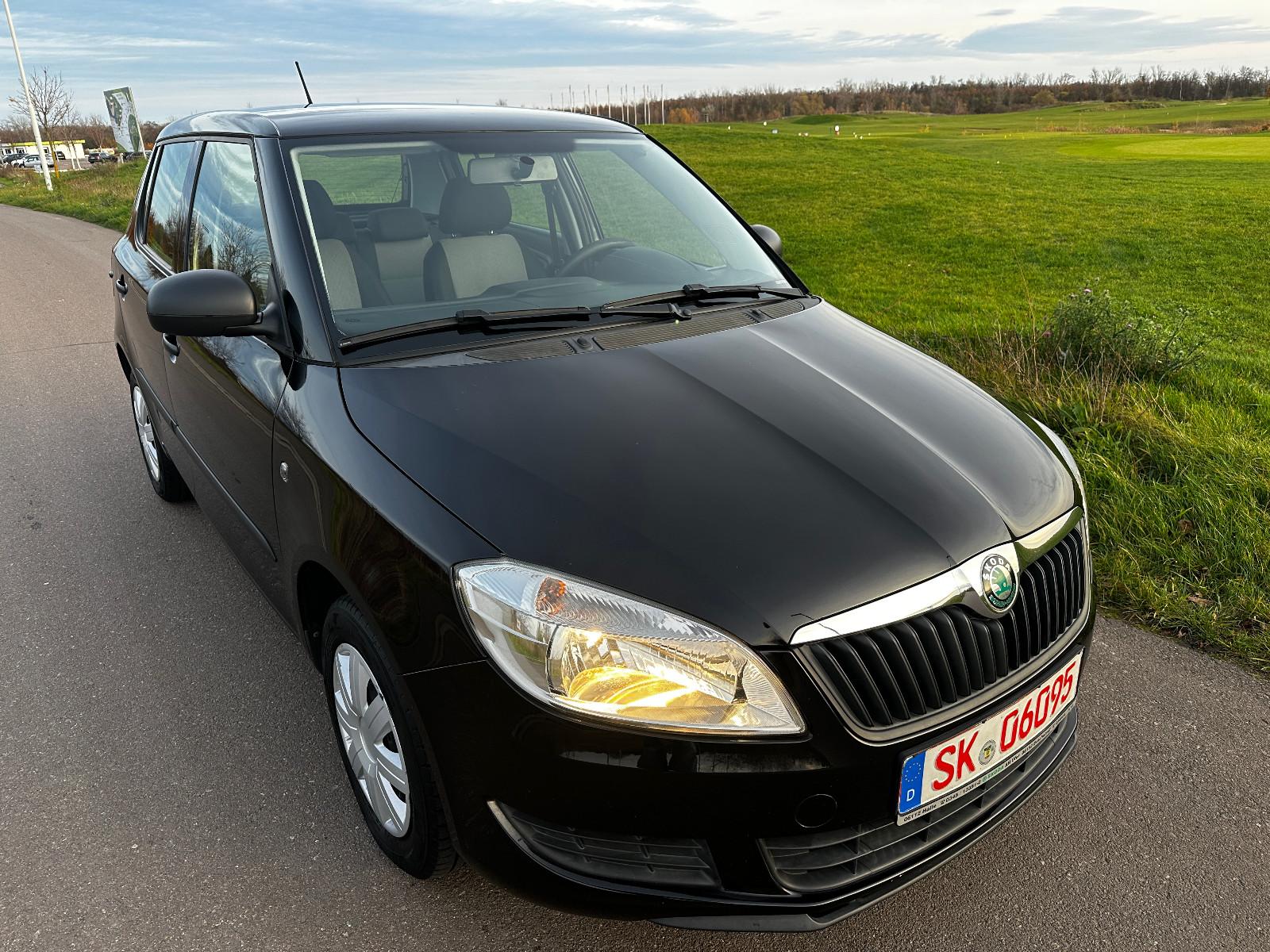 Skoda Fabia Cool Edition*KLIMA*PDC*SCHECKHEFT*