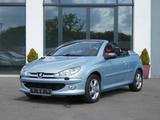 Peugeot 206 Cabriolet CC Platinum*Leder*Klima* - Peugeot Gebrauchtwagen von 2003