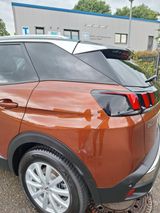 Peugeot 3008 BlueHDi 180 EAT8 Crossway Crossway - Peugeot 3008: Crossway