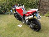 Triumph Speedtriple 1050 SE - Angebote entsprechen deinen Suchkriterien