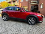 Mazda CX-30 SKYACTIV-G 122 AT SELECTION Leder AHK - Mazda CX-30 aus 2023