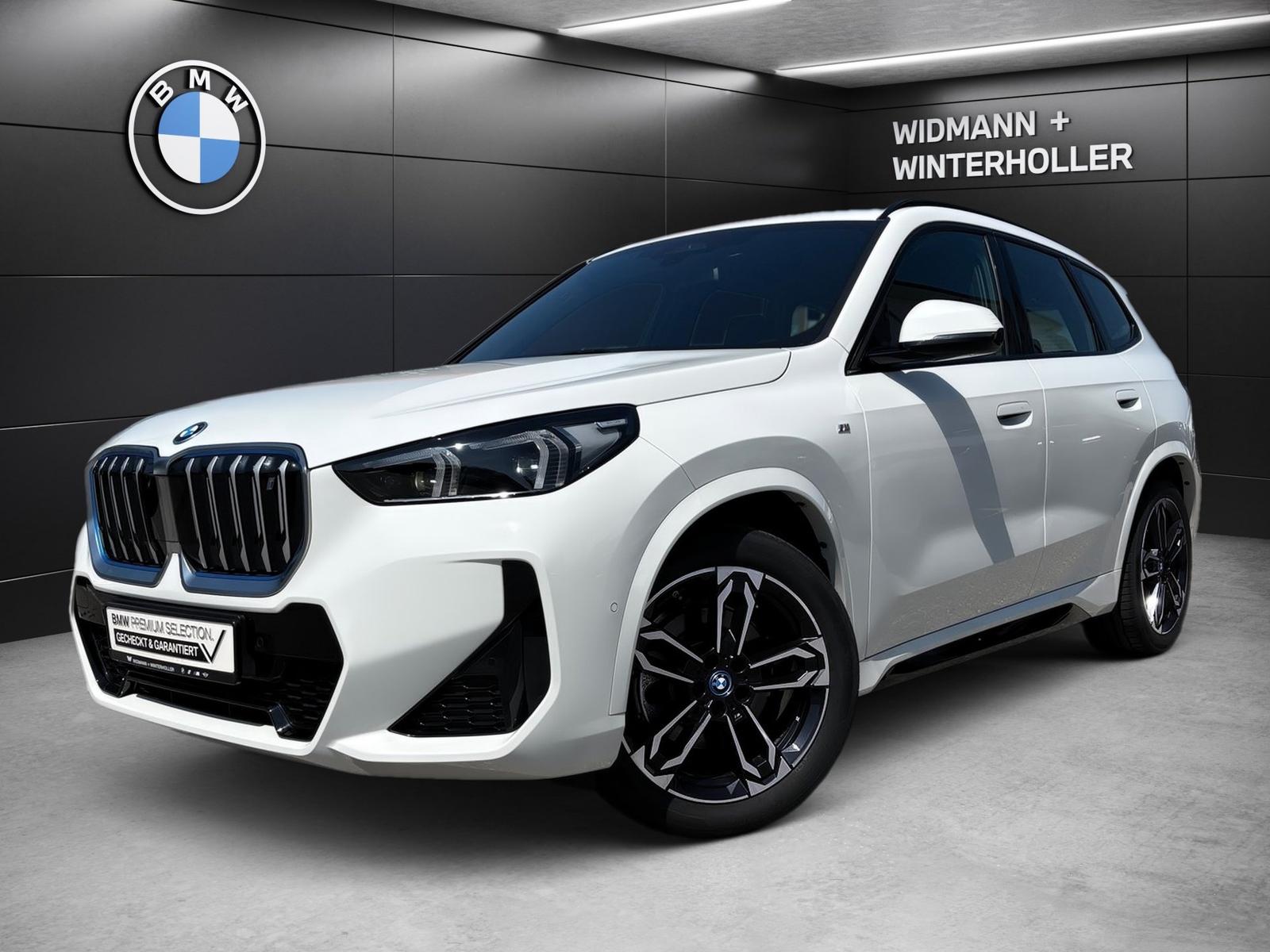 BMW iX1 xDrive30 M Sport Navi ad.LED DAB PA RFK