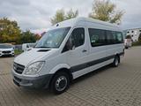 Mercedes-Benz Sprinter 515 Maxi Automati Klima Stand 15 Sitze - Mercedes-Benz Sprinter: 515