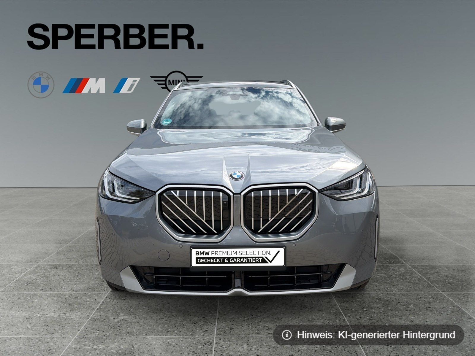 BMW X3 - Bild 8