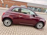Fiat 500 Lounge/TÜV§INSPEKTIONNEU - Fiat 500: Braun