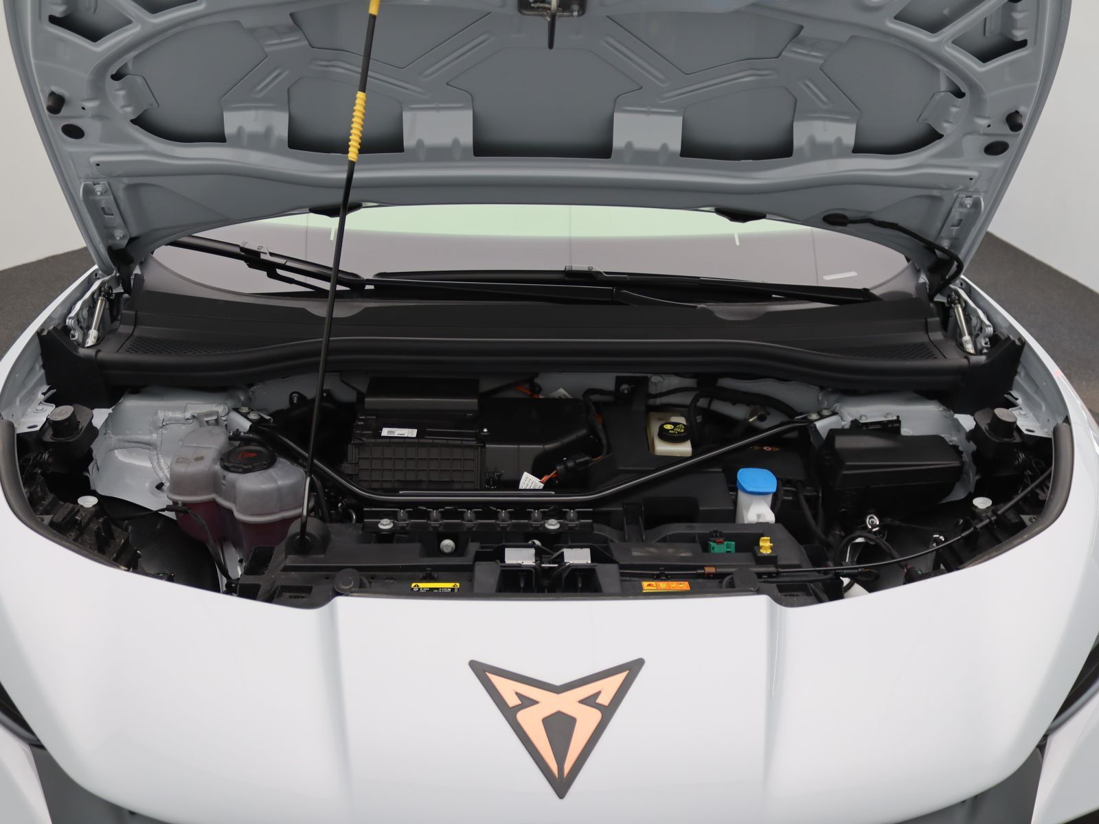 Cupra Tavascan - Bild 11