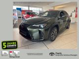 Lexus UX 300h F Sport Design Klimaaut., ACC,SpurH, LM - Lexus UX: F Sport Design