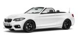 BMW 230i Cabrio M Sport Navi DAB H/K Sportsitze 18'' - BMW 230: 230d