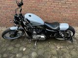 Harley-Davidson Sportster 1200 XL Custom  - Offers matching your search criteria