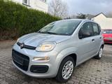 Fiat Panda 1.2 Easy - gebrauchte Fiat Panda aus dem Jahr 2018
