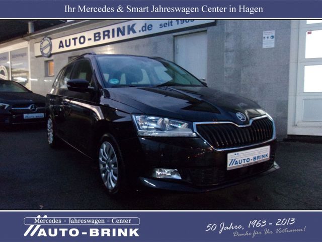 Skoda Fabia Combi Ambition PTS v+h, Totwinkel-Ass.,etc