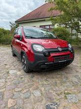 Fiat Panda Pandina nur 8500 km Mild-Hybrid - Fiat Panda Kleinwagen Km h mit Benzin-Antrieb