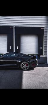 Ford Mustang 5.0 Ti-VCT V8 GT GT - Ford Mustang: V