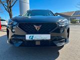 Cupra Formentor VZ Tribe Edition e-Hybrid AHK Memory - Cupra Formentor: Vz Tribe Edition