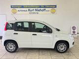 Fiat Panda +Klima +ZV +Original-Radio