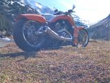 Harley-Davidson Vrod Muscle