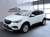 Opel Grandland X Business Elegance+LED+NAVI+LEDER+1.H
