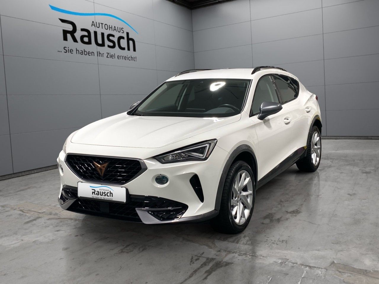 Cupra Formentor 2.0 TDI 4Drive Aut. Navi SHZ LED Keyle