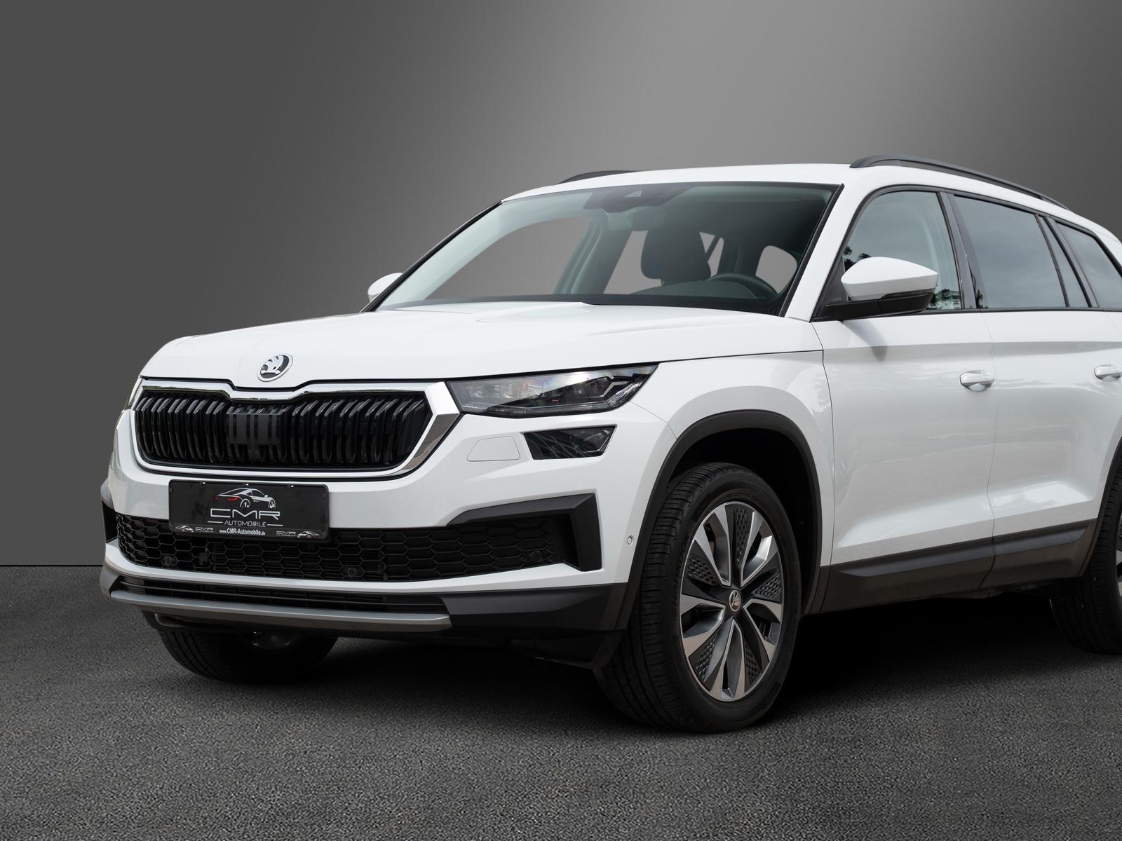 Skoda Kodiaq Ambition Tour AHK DAB+ SunSet Amundsen, миниатюра 2