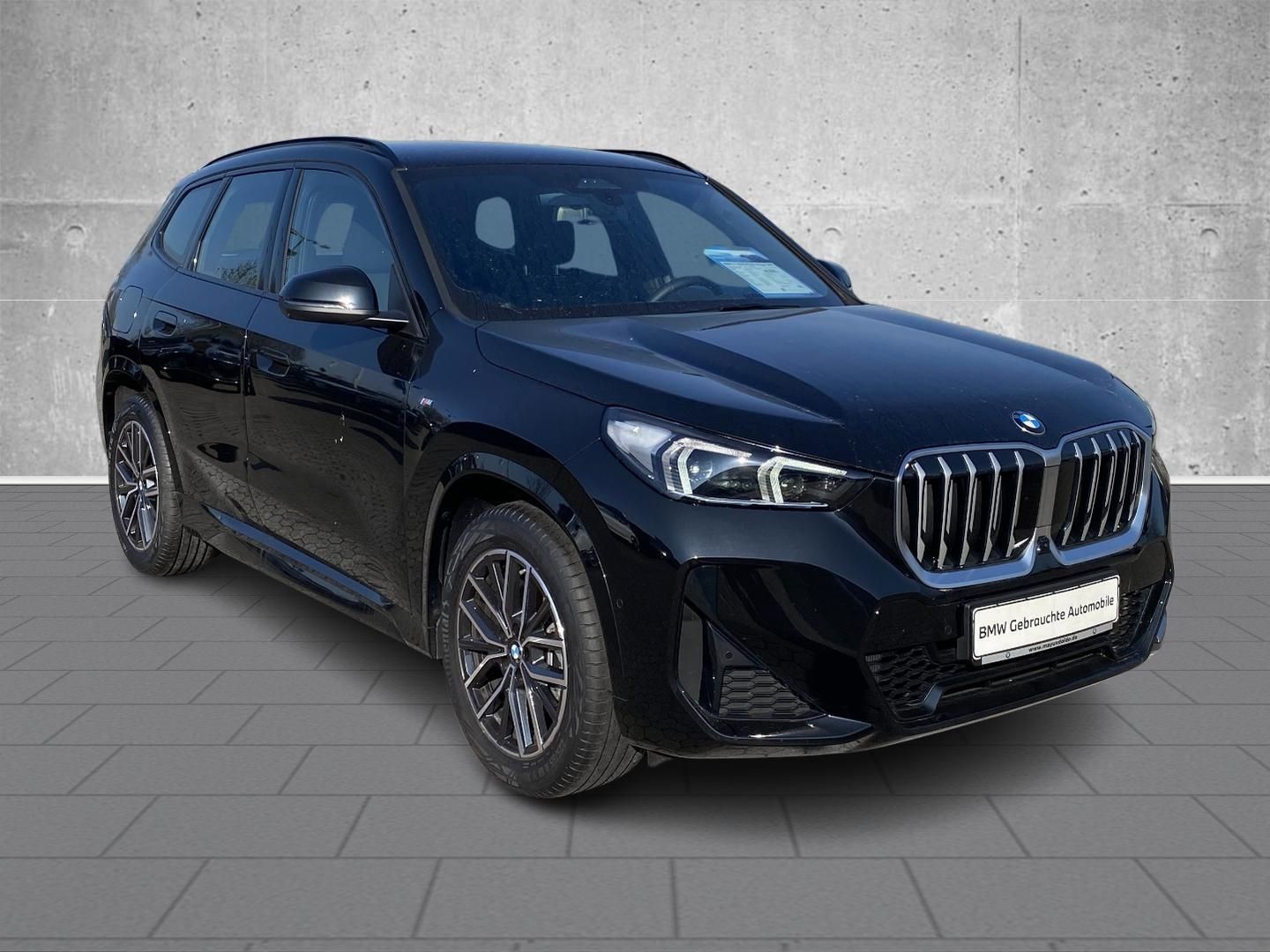 BMW X1 SDRIVE20D M Sport AHK HUD H&K Navi Digitales foto 4