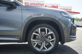 Skoda Kodiaq Sportline 1.5 TSI DSG Matrix ACC 7-Sitzer - Skoda Kodiaq: Sportline