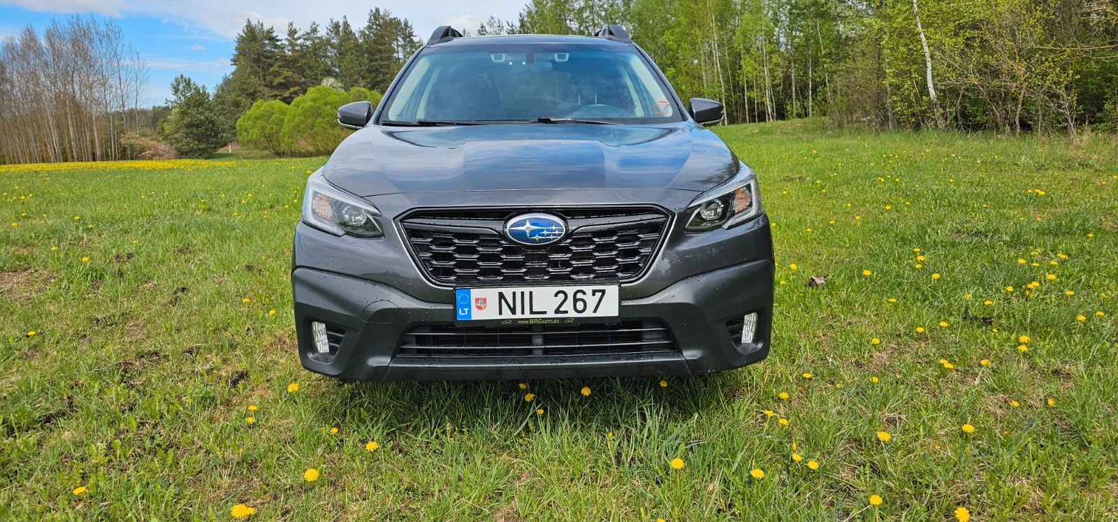 SUBARU OUTBACK