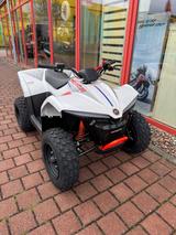CFMOTO CFORCE EV110 - CFMOTO CFORCE EV110