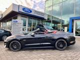 Ford Mustang GT Convertible V8  Premium-Paket II  5.0 - Ford mit Benzin-Antrieb: Cabrio