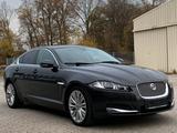 Jaguar XF 2.2 Diesel - gebrauchte Jaguar XF aus dem Jahr 2013
