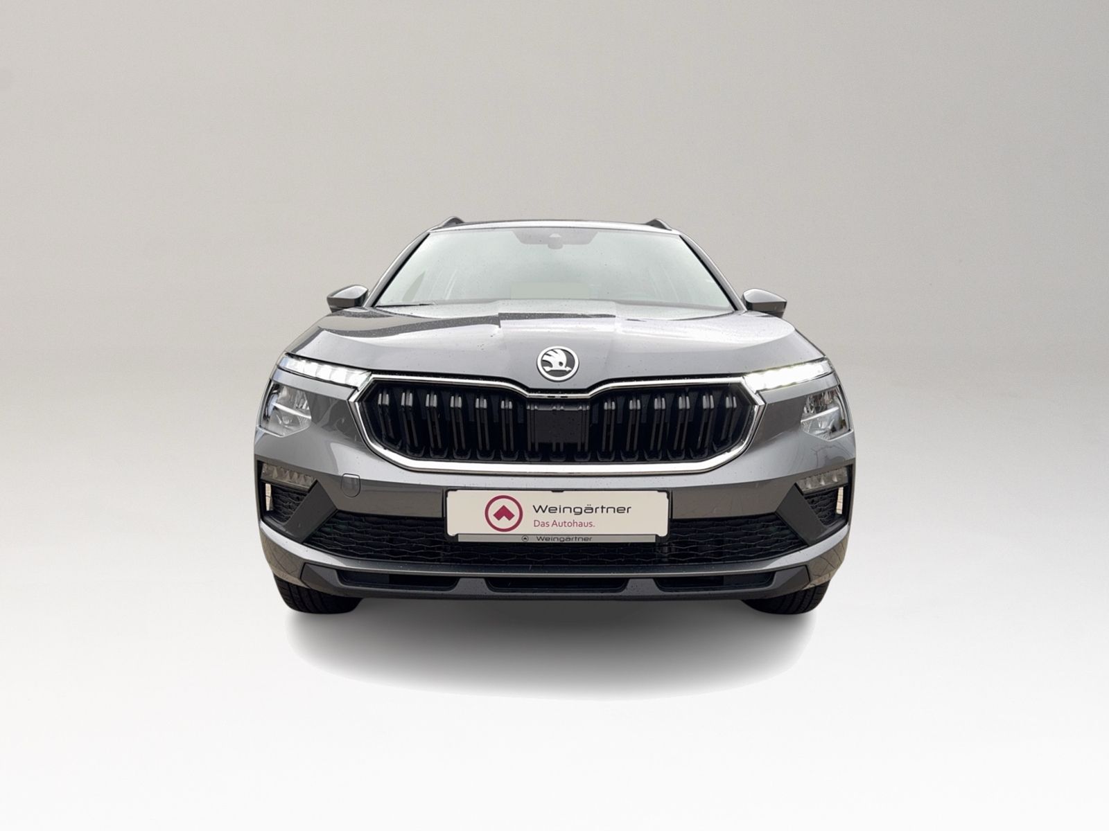 Kamiq 1.0 TSI Essence, Winterpaket, Vorbereitung