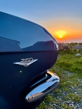 Ford 1964er Mustang Cabrio 260cui V8 Motor - Ford Mustang aus 1965 mit Benzin-Antrieb: Cabrio
