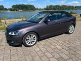 Audi A3 Cabriolet 1.2 TFSI | ca. 85.000 km... - Audi A3 aus 2010: 2.0