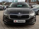Skoda OCTAVIA C. CLEVER 2.0 TDI DSG 4xSHZ FLA SpurH - Skoda Octavia aus 2021