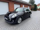 MINI Mini Cooper Seven Chili - Langstreckenfahr... - MINI: Seven