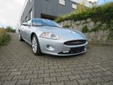 Jaguar XK Cabriolet 4.2 Cabrio*SHZ*PDC*NAVI - Jaguar: Cabrio