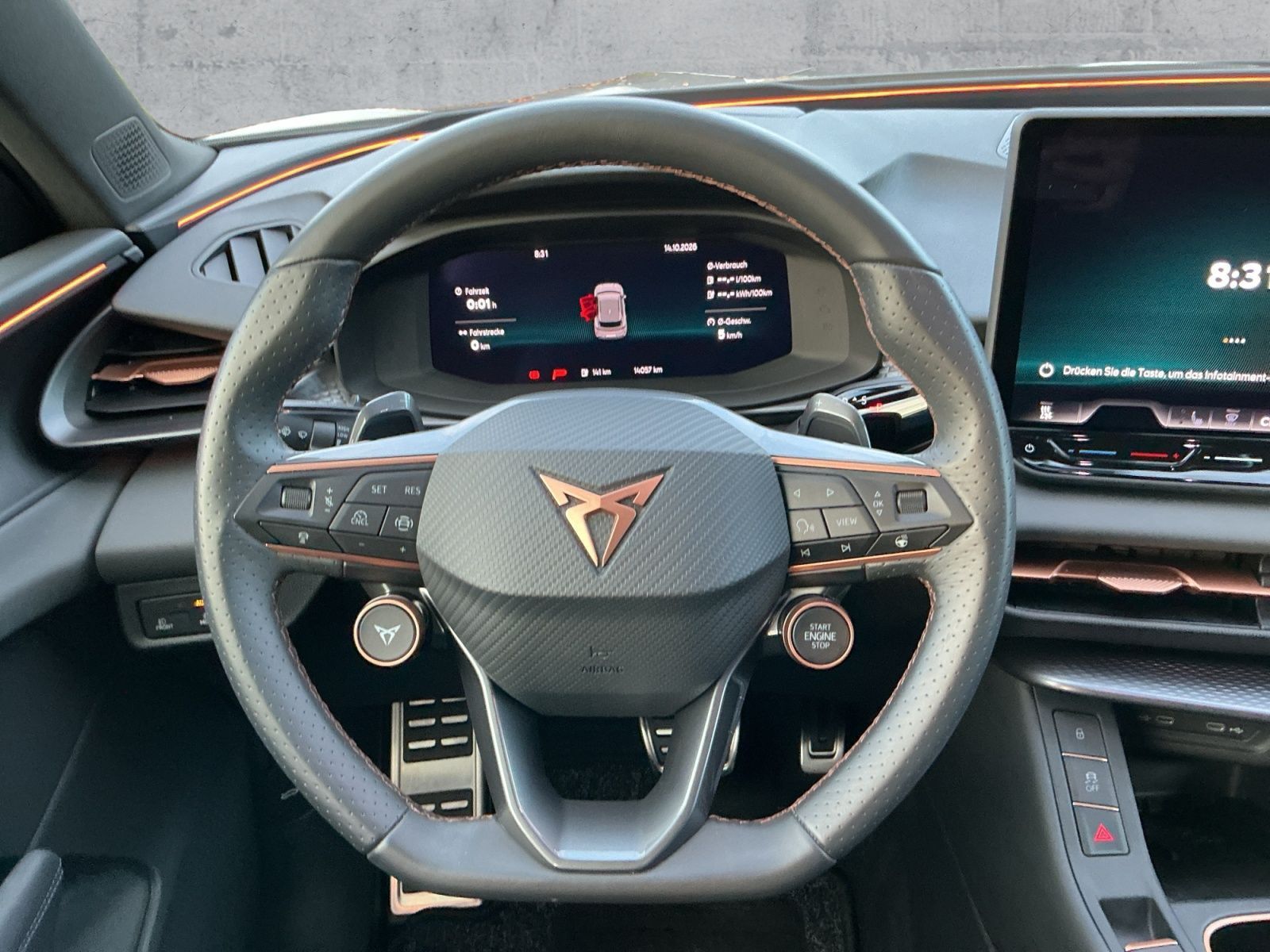 Cupra Terramar - Bild 10