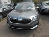 Skoda Karoq Selection 130 Jahre - Skoda Karoq aus 2025
