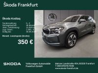 Skoda Kodiaq - Vorschau Bild 1