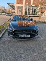 Ford Mustang GT V8 | Premium Paket 2  - Ford Mustang: Premium