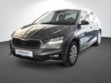 Skoda Fabia 1.0 TSI DSG Selection - Skoda Fabia Gebrauchtwagen in Karlsruhe