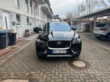 Jaguar First Edition AWD LED,PANO,LEDER,22Zoll,Digi.Coc - Jaguar F-Pace: First Edition