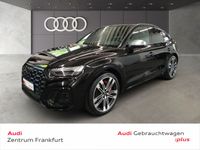 Audi SQ5 - Vorschau Bild 1